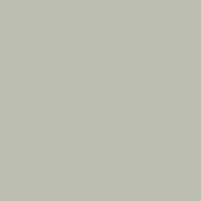 RailMatch 2206 - BR Rail Grey - Acrylic 18ml