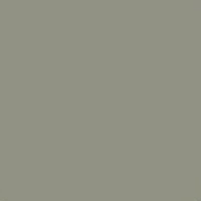 RailMatch 2245 - RailFreight & Engineers Flint Grey - Acrylic 18ml