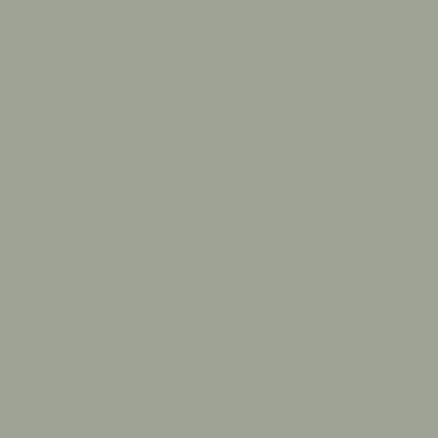 RailMatch 2276 - DB Schenker Grey - Acrylic 18ml