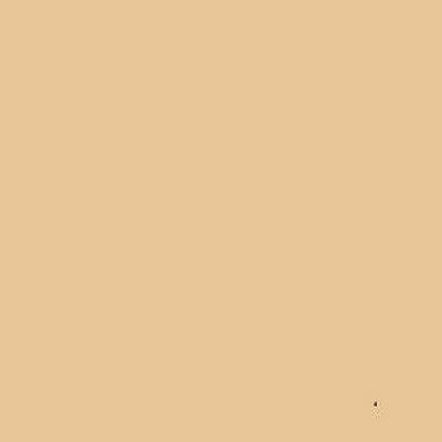 RailMatch 2425 - New Stone - Acrylic 18ml