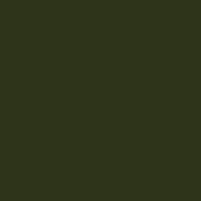 RailMatch 2631 - SR Dark Olive Green - Acrylic 18ml
