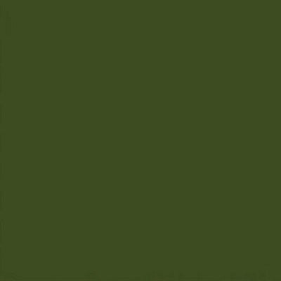 RailMatch 2301 - BR Locomotive Sherwood Green - Acrylic 18ml – Hobbies ...