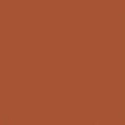 RailMatch 2405 - Dark Rust - Acrylic 18ml